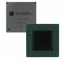 Image TSI310A-133CEY.