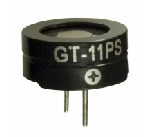 Image GT-11PS.